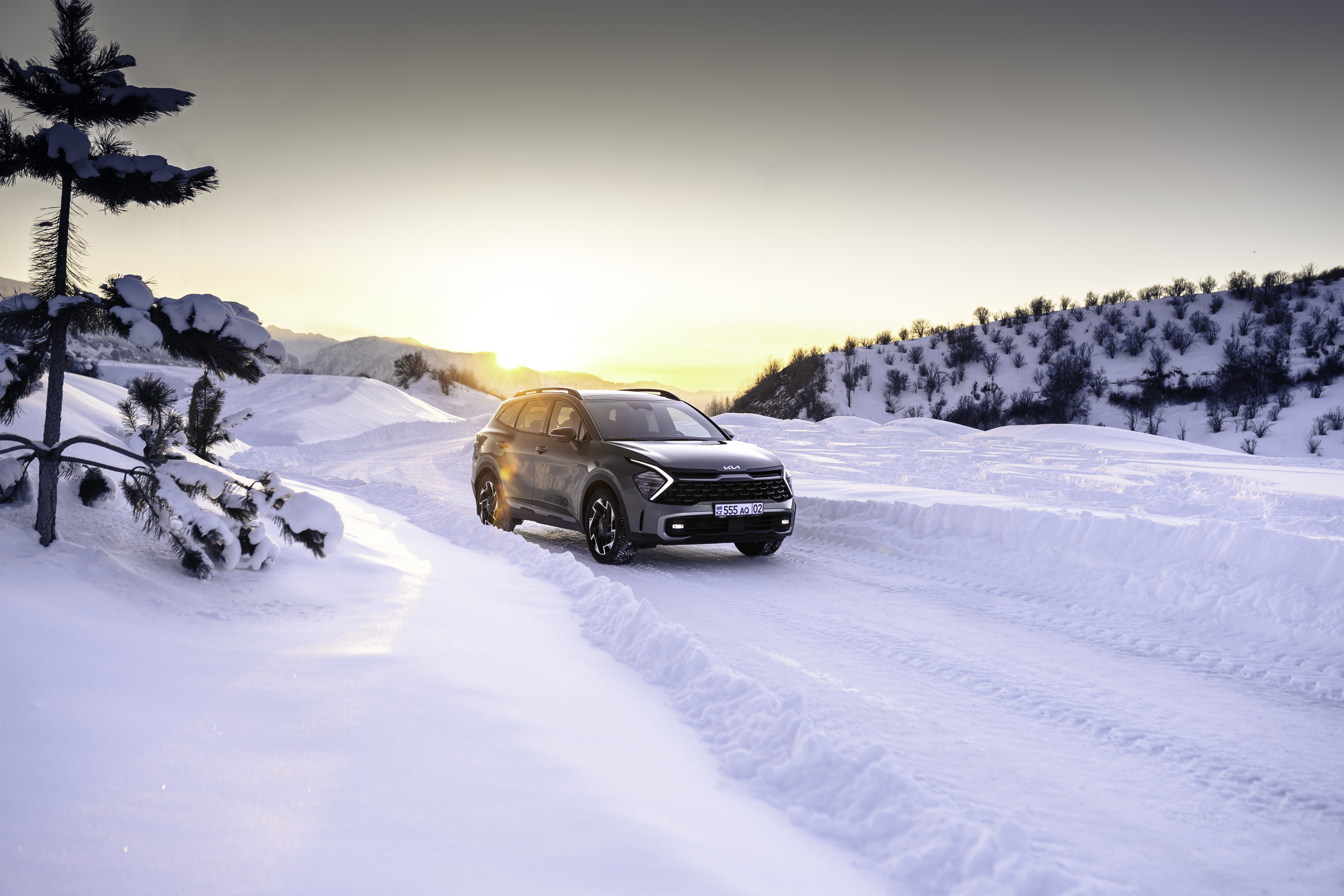 Kia в Казахстане: итоги января